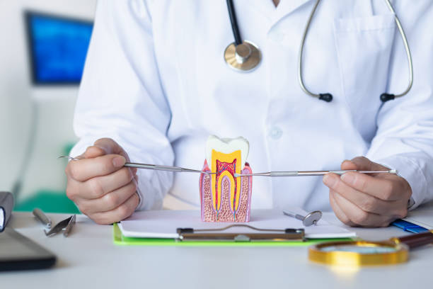 Best Same-Day Emergency Dental Services in Crainvle, IL